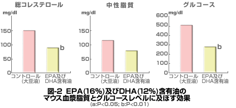}2-EPA(16%)yDHA(12%)ܗL̃}EXƃOR[Xxɋyڂ