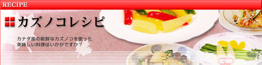 �J�Y�m�R���V�s